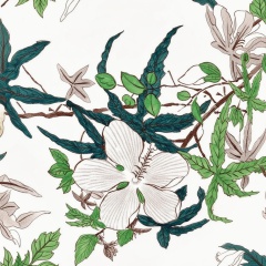 Clematite