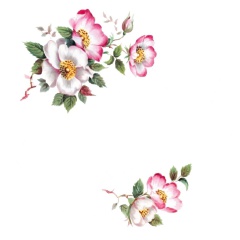 Princesse-Rosy