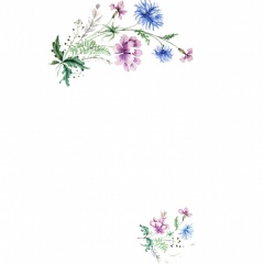 Trois-Fleurs