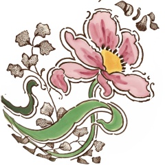 Tulipe