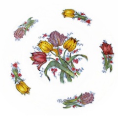 Tulipes
