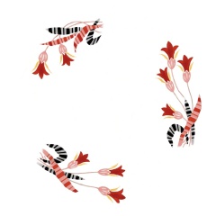 Fleurs-Jetees-N.83