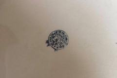 17991896_10155305011364235_7016148480112830527_n