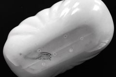 14980785_443054625865205_7405818296579051808_n