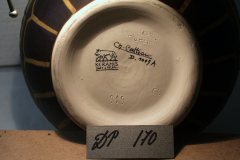 DP170b