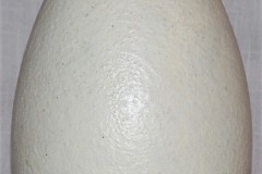 IMG_8536