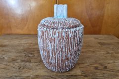 20220424_153718-scaled