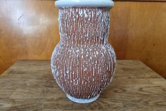 20220424_153733-scaled