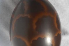 3ec59102-f12a-11e6-87b2-0d814ad95c9b