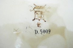 DSCI0804_1024x1024