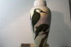 18557145_770886519742205_4024457259951730737_n