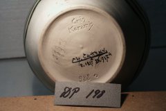 DP198b