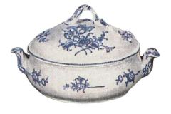 Osier-oud