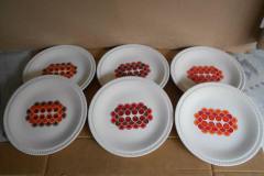 Delta - daisy
