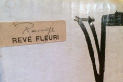 Delta - Reve-Fleuri