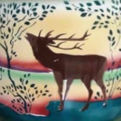 1_235853187_10159795136414235_4998877429686902322_n-kopie