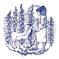 4982f303-8451-4a4f-a759-e045dd4a2646