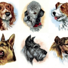 86d3eccc-61f9-4c92-8425-cc941358fdd0