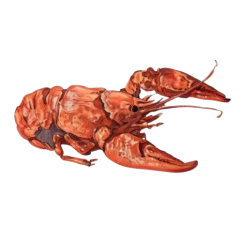 a8c095cf-345c-4896-a56d-8497491ce835