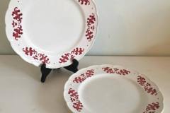 Festival - Coronation-rood