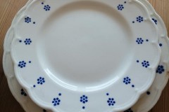 119452402_10223422010246953_919596316824158270_n