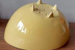 120654461_10158994985429235_2032360627692225072_o