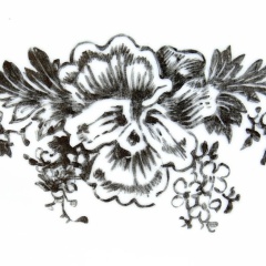 Claude