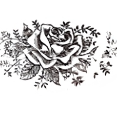 826080a0-b20d-41a0-aeb4-c53feabc943b