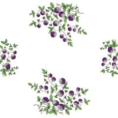 Fleurs-Jetees-N.73