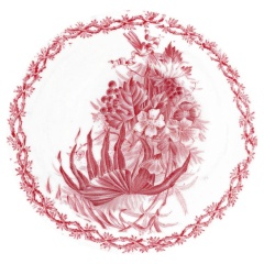 Plantes-et-Fruits