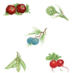 Primavera