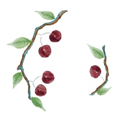 77427040-45fe-4f70-b821-b142a34b5da1