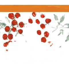 8b8f62d5-2a91-458a-ad21-46b6d8ff55c8