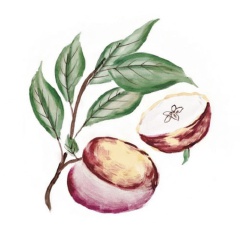 dbd16baf-6aac-4f1a-b2cf-d924d4377b03