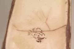 16649509_10155092780334235_5583642861484302123_n