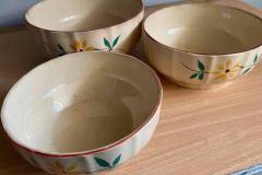 100965302_10158625489544235_1675628679616528384_n