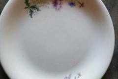 Saturne + Miami - trois-fleurs