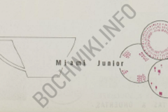 Miami Junior