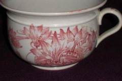 13043669_566789240162698_9024959798066918986_n