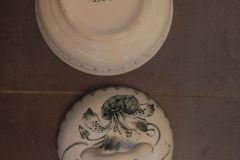 14138129_1152048461525928_3719835059969051056_o