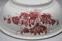 14480497_10154532257119235_2287794546442221941_o