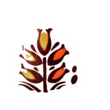 14233173_10154474058009235_2300068278666668839_n