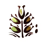 14292313_10154474057939235_8648832077930193466_n