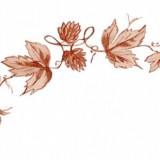 bd676786-ee26-4648-b7f6-06dc41b8ed80