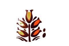 14233173_10154474058009235_2300068278666668839_n
