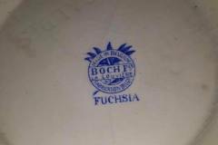 Fuchsia-16