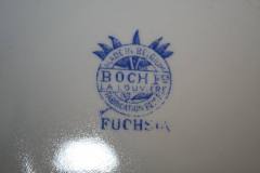 Fuchsia-7