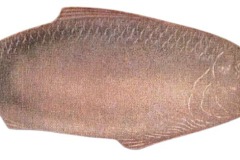 Poisson