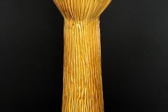 14570334_428176274019707_9048839328499524851_n