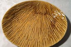 16807209_10155072218844235_1942035146302581977_n